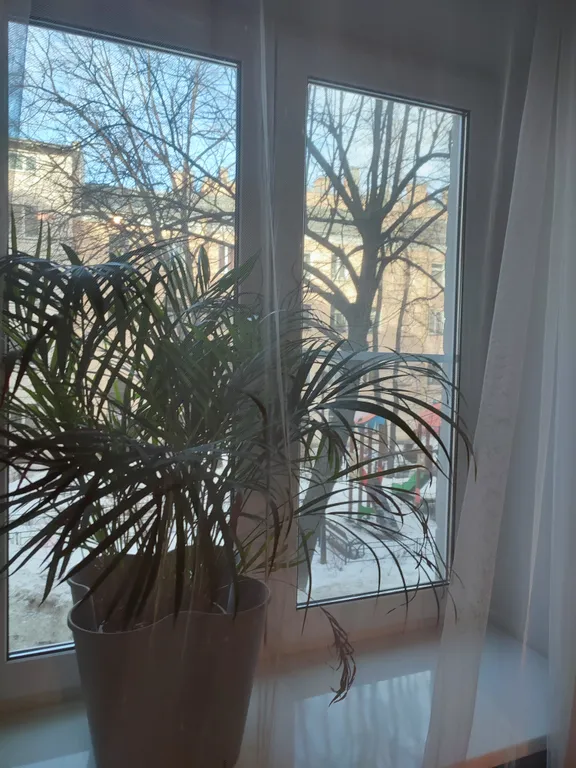 Огонь-квартира 45 м² на Гороховой