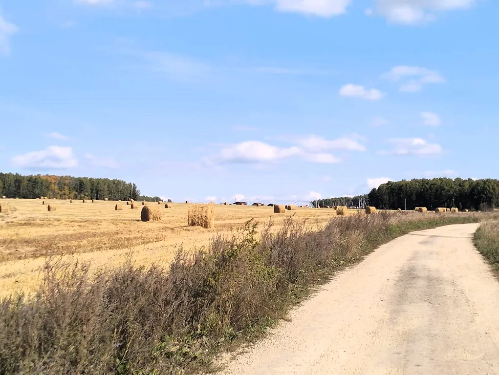 Уютный дом с баней и чаном