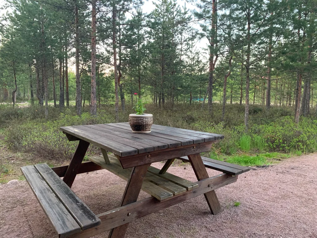 Коттедж Коттедж в Карелии с тремя спальнями — Нурмойла