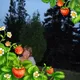 Светлана Александровна