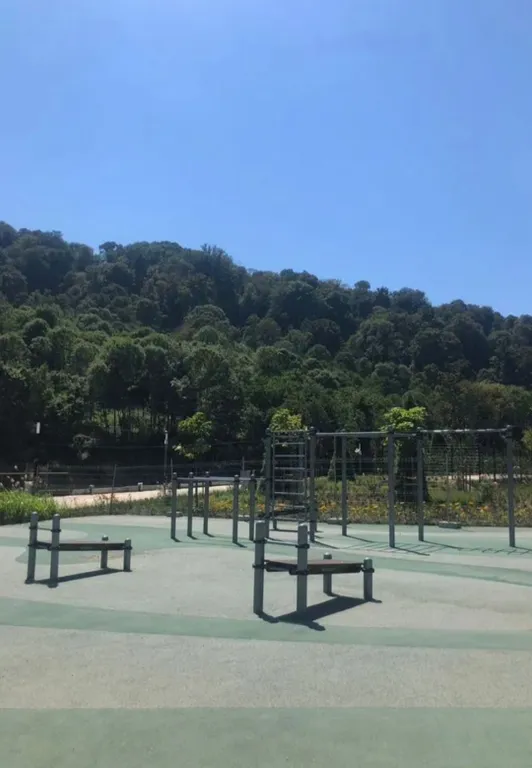 Видовая студия в новом ЖК в Сочи