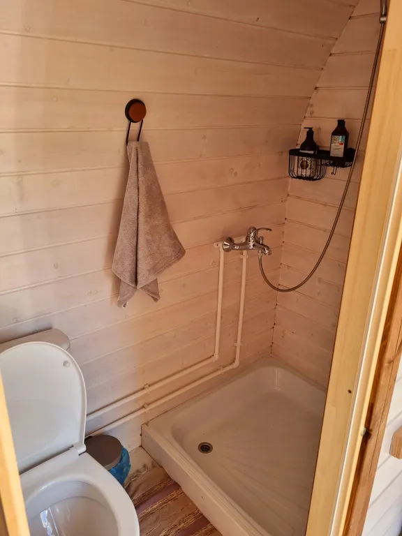 Дома возле Катуни среди гор