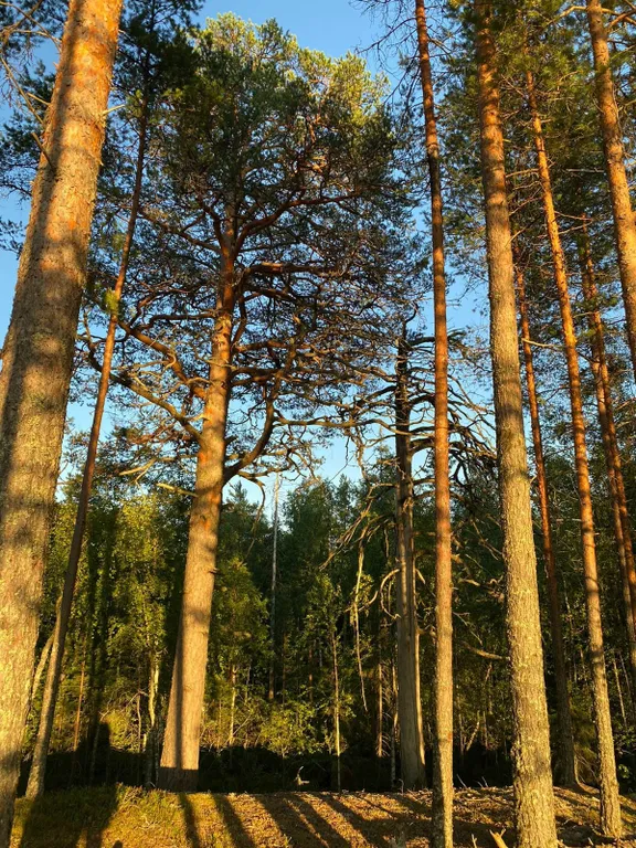 Дом на берегу озера