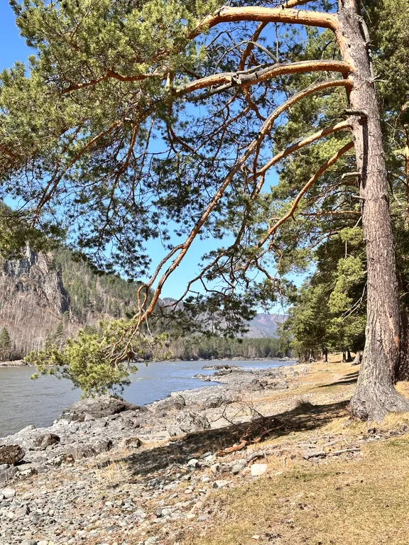 Новый круглогодичный 3-й коттедж на берегу Катуни