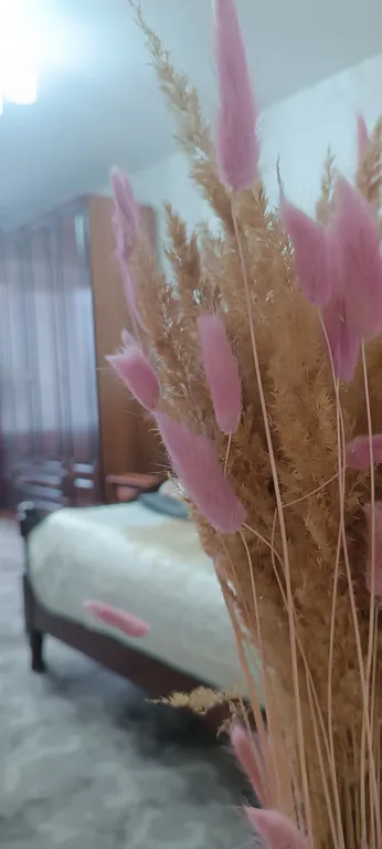 Уютная, чистая квартира в самом центре города