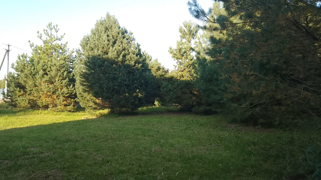 Таунхаус Хитрый Лис