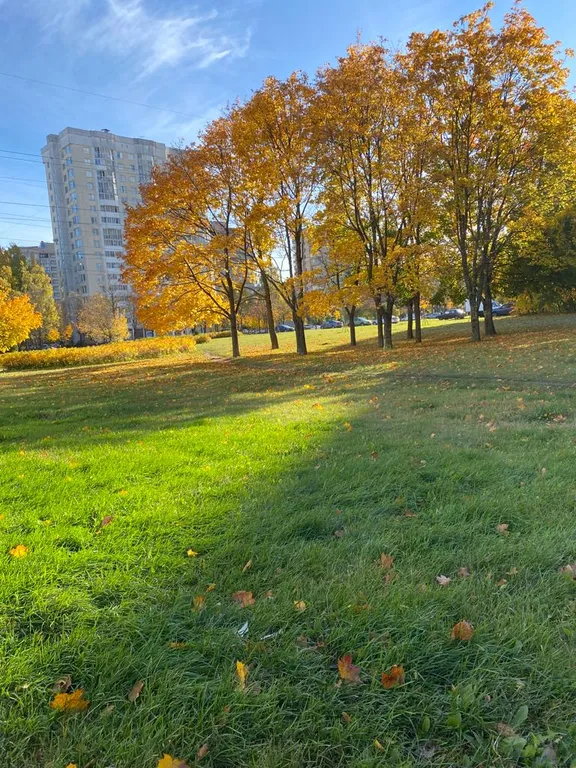 Квартира Квартира рядом с Вредена, академия связи, политехнический университет — Санкт-Петербург