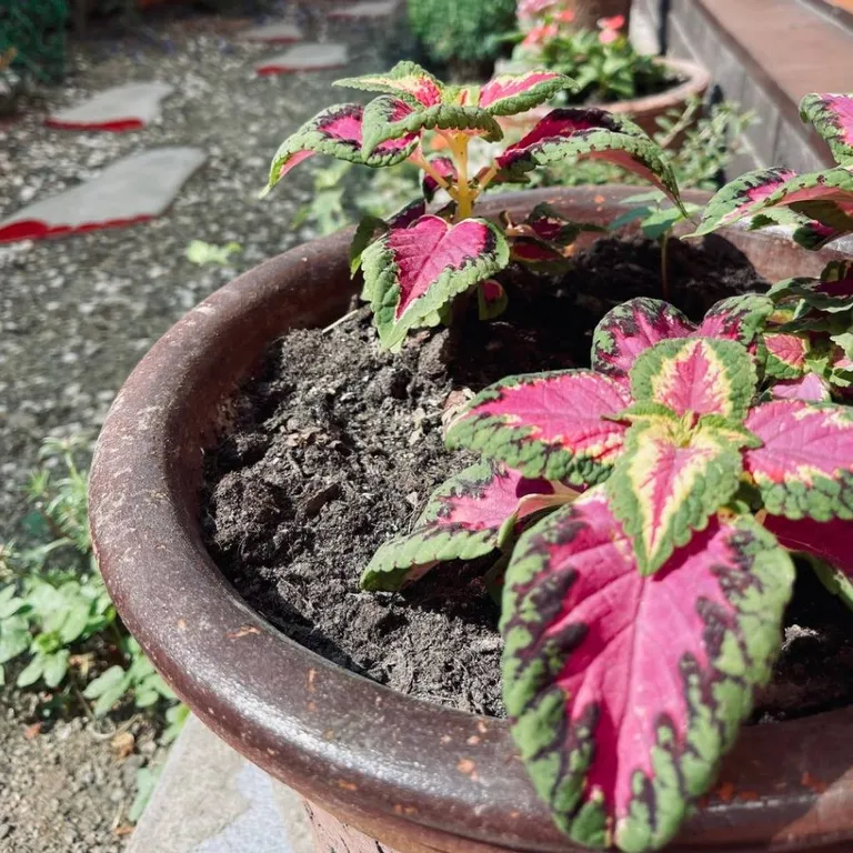 Отдельное жильё со своей стоянкой