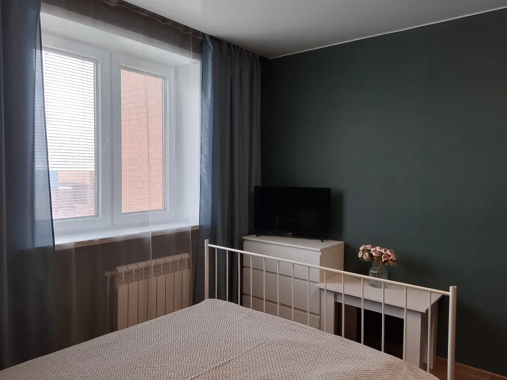 Уютная однокомнатная квартира около аэропорта Толмачево