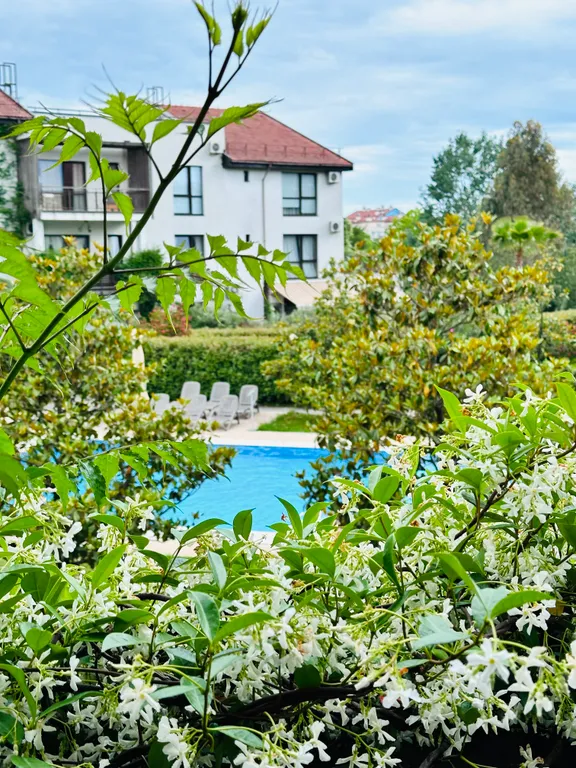 Дизайнерские апартаменты с террасой и бассейном