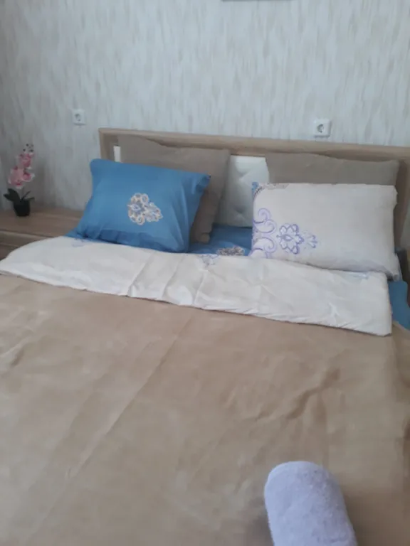 Квартира у Ледового дворца