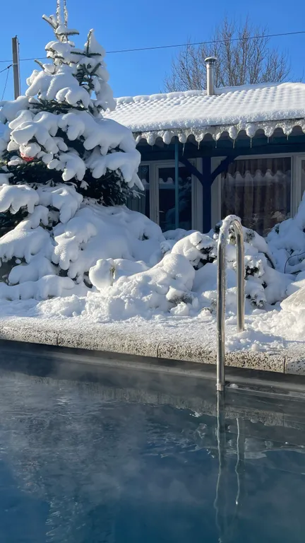 Дом из сруба с баней и бассейном