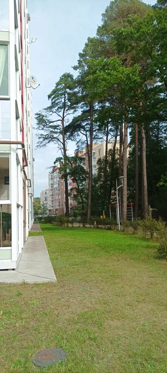 Квартира 1-комнатная Квартира — Светлогорск