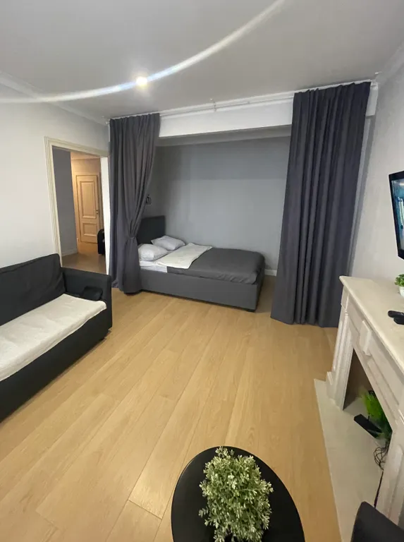 Уютная большая однокомнатная квартира евро двушка