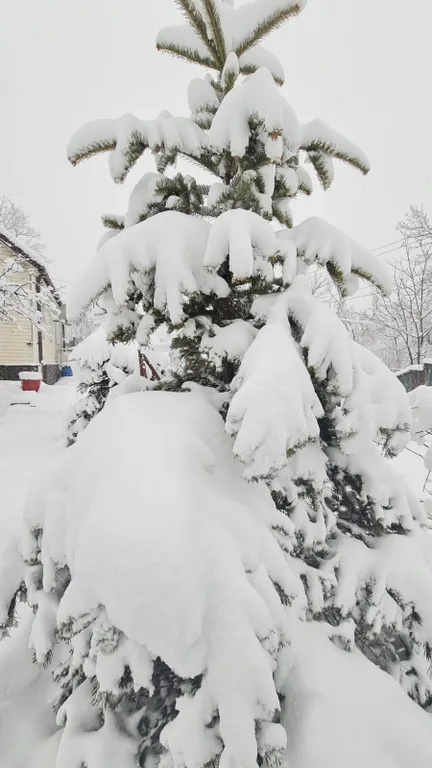 Уютный загородный дом с красивой благоустроенной территорией.