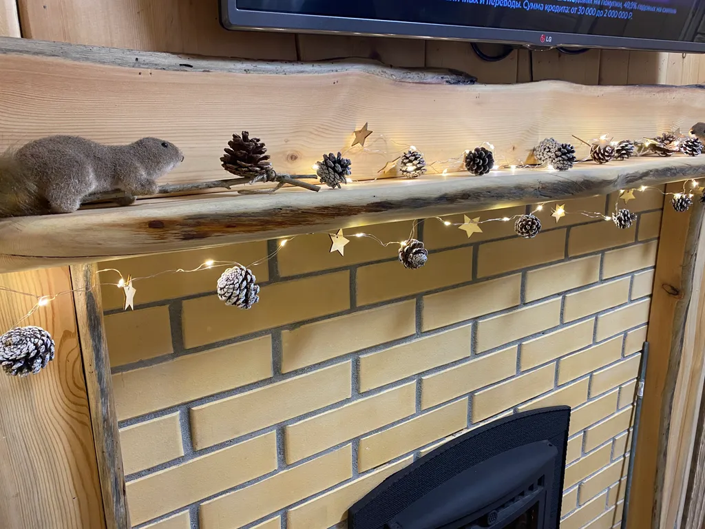 ЭМАНСИС Сямозеро, 1-я линия: дом у озера + баня и купель, рыбалка