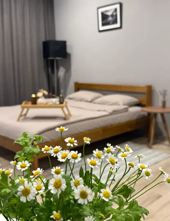 Стильная видовая студия в центре города