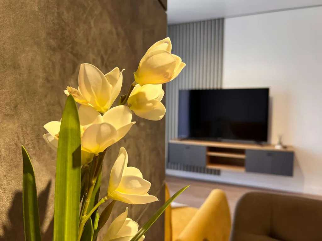 Дизайнерская студия