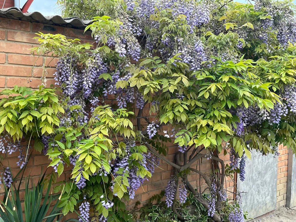 Уютный дом недалеко от моря