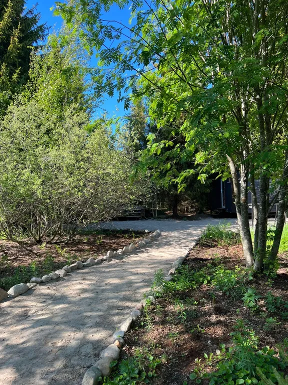 Коттедж Дом с панорамными окнами в лесу — Ломоносов