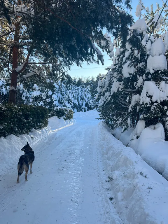 Дом Переславль