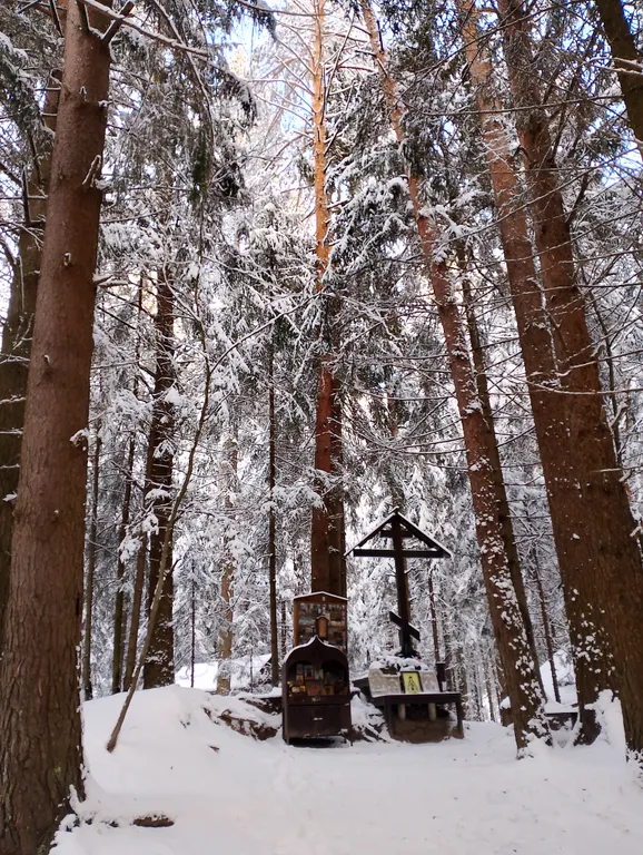 Уютный Дом с Камином в сосновом лесу 15 мин от Твери и 50 мин от МКАДа