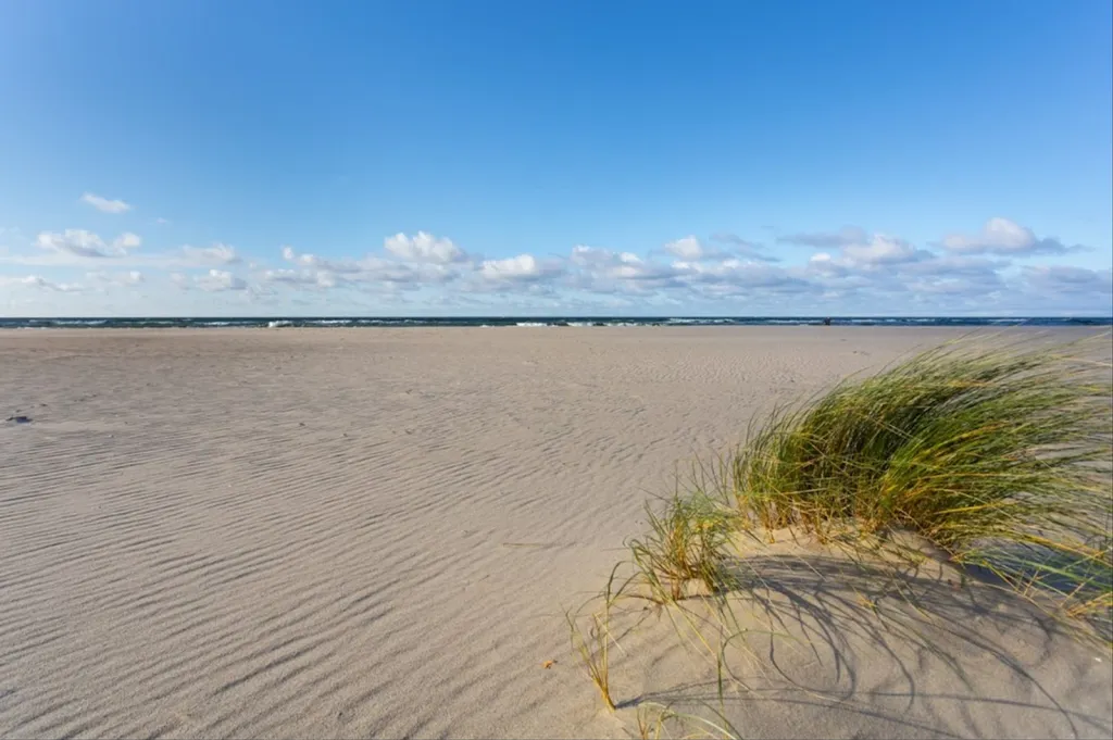 Апартамент sunny day 6