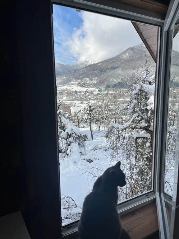 Коттедж Коттедж Уютное шале — Эсто-Садок