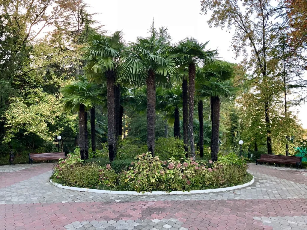 Апартамент в в элитном санатории Беларусь