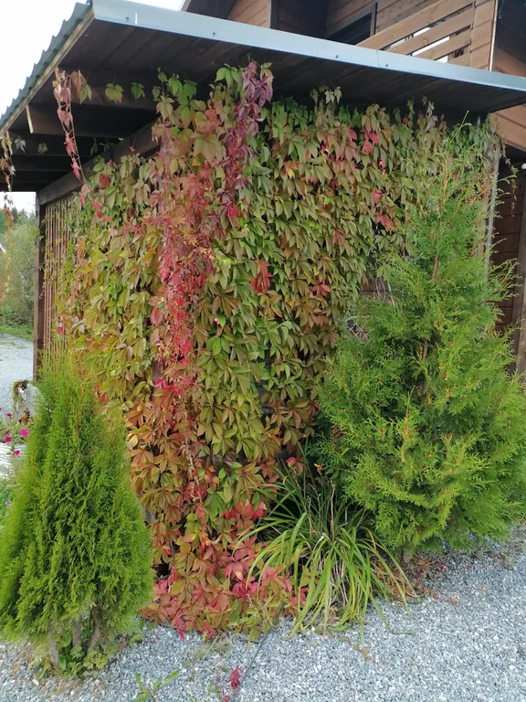 Дом в Карелии