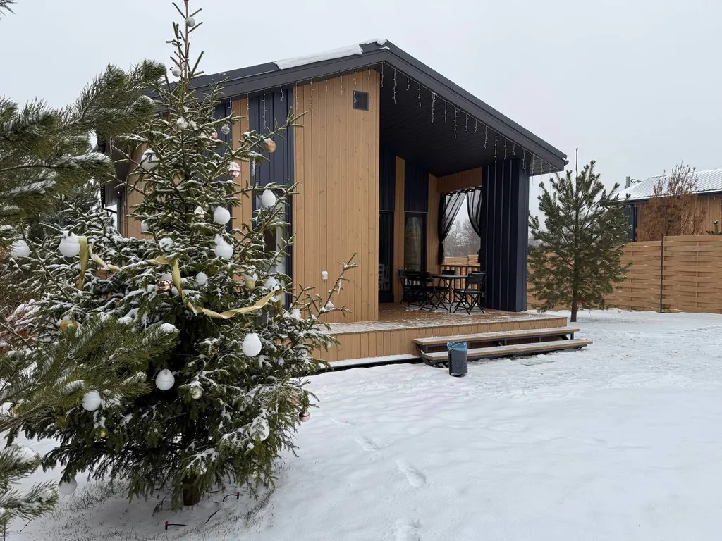 Skandi Белка загородный дом у пруда в подмосковье