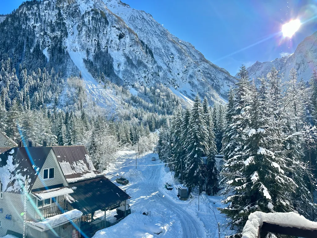 Туманный лес