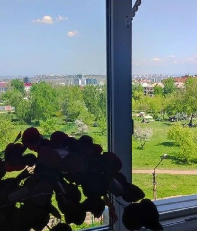 Квартира Стильная квартира с видом на парк — Красноярск