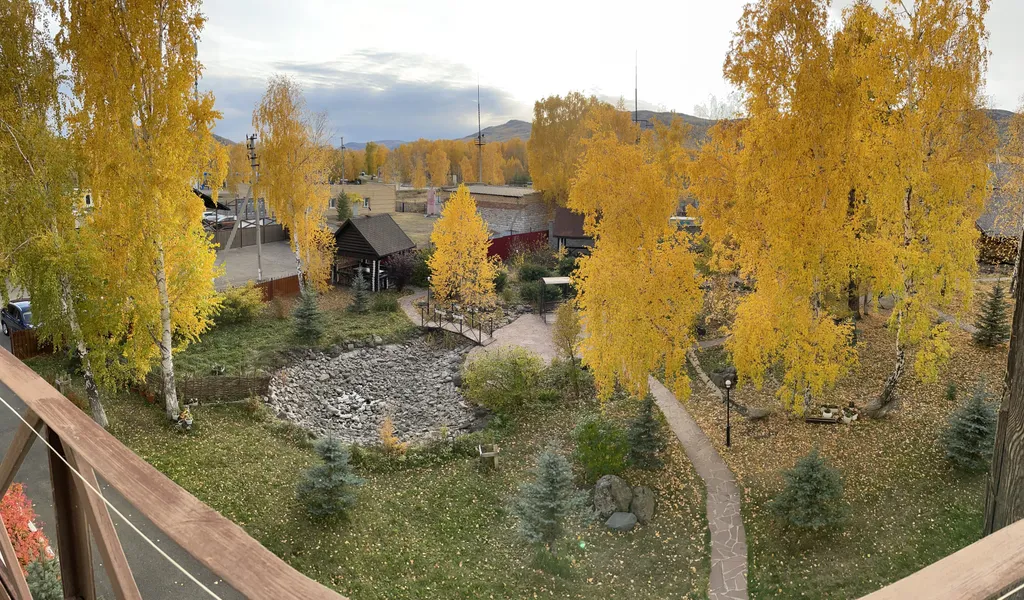 Квартира в центре Зеленой поляны