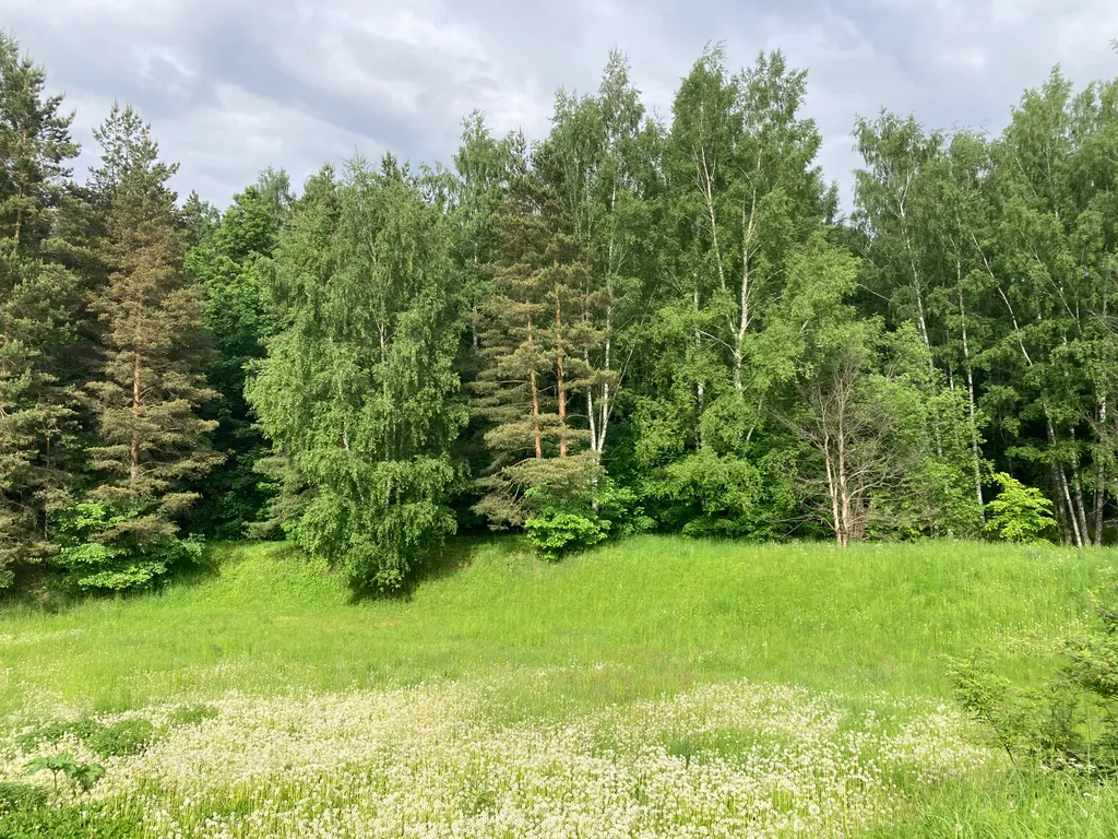 Коттедж Коттедж Новый барнхаус с баней — Манюхино