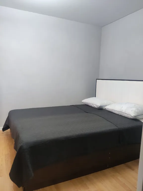 Дом с евроремонтом в центре города