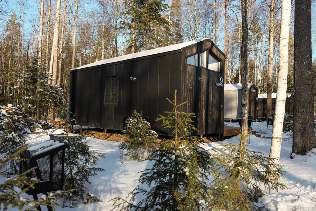 Коттедж Уютный дом в лесу до 4-х с купелью фурако и мангалом — Глубокое (Красносельская с/п)