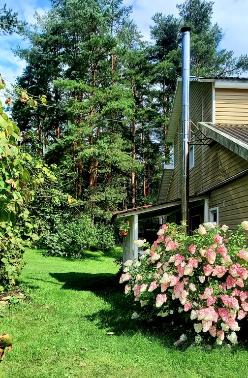 Гостевой дом у сосен.