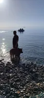 Наталия Ерофеева