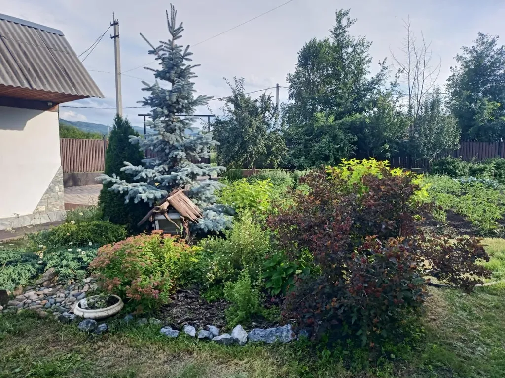 Уютный гостевой эко-дом Sova