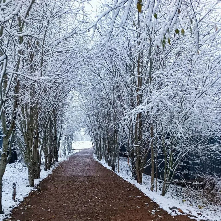Дом с камином на берегу ручья
