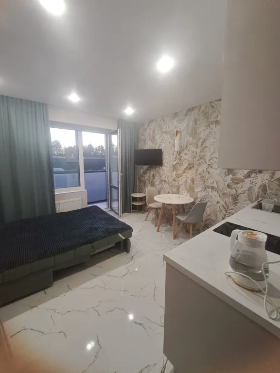 Квартира Квартира Уютная студия с дизайнерским ремонтом — Новое Девяткино