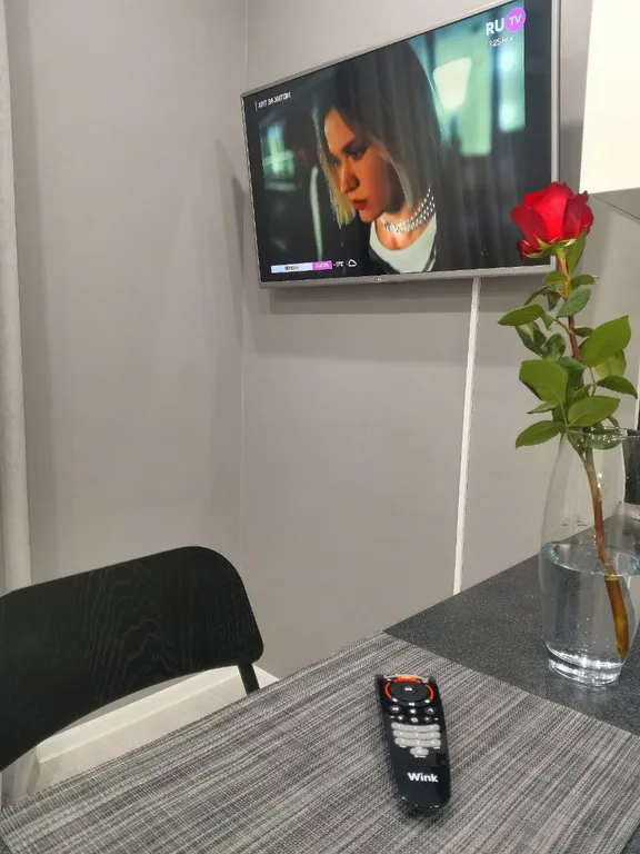 Студия в Звёздном городке