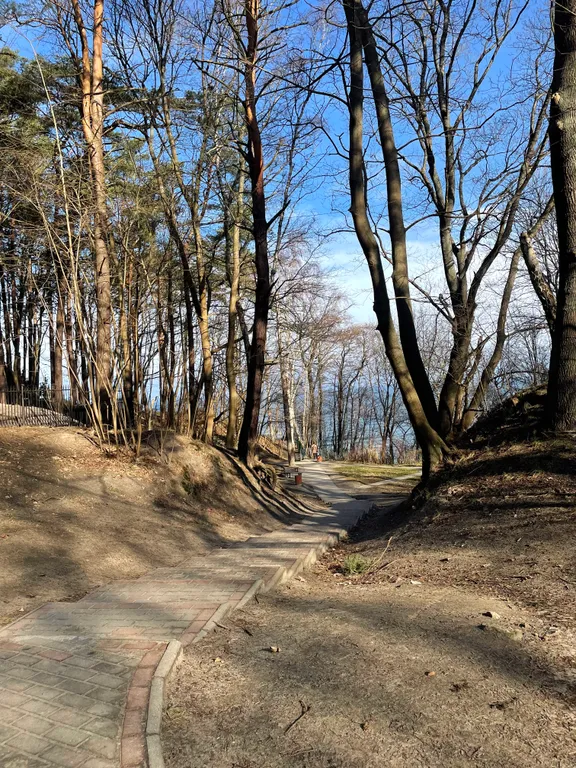 Квартира Квартира на первой линии — Светлогорск