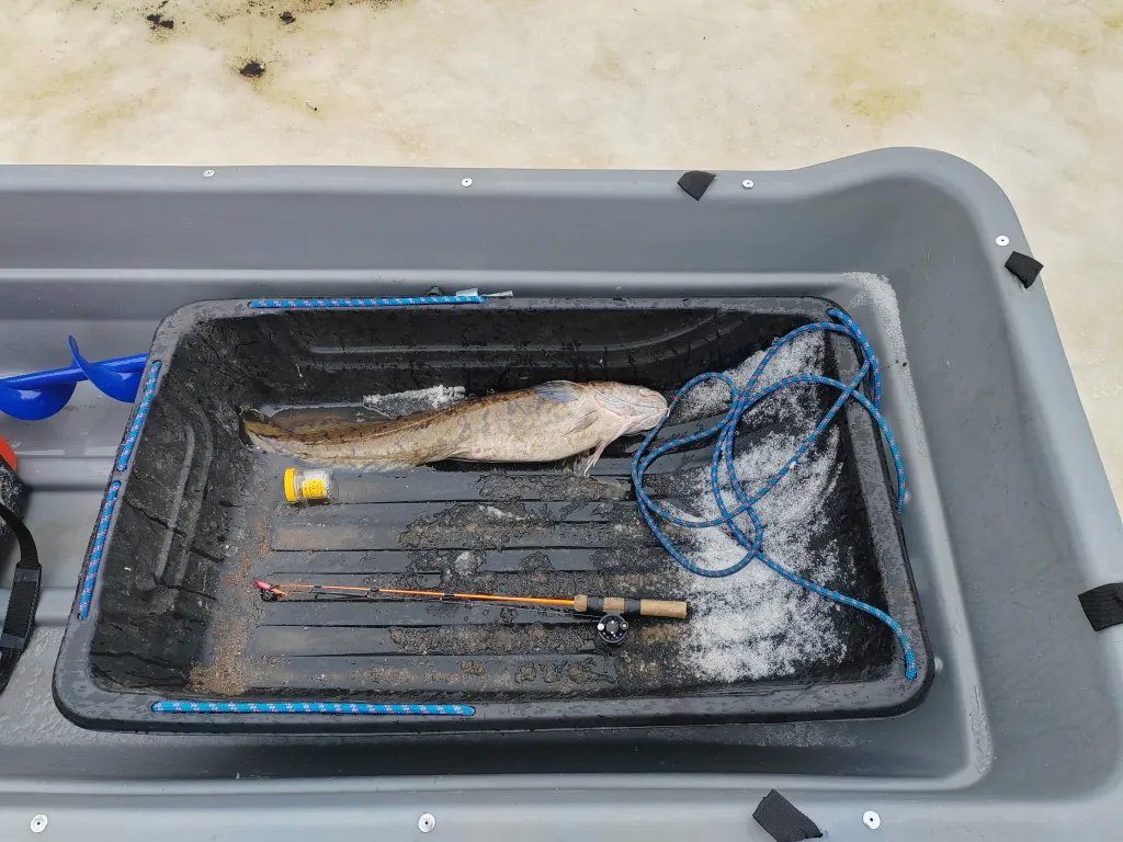 Домик на озере в глуши