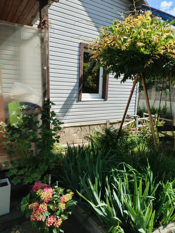 Апартаменты эко в центре Красной поляны