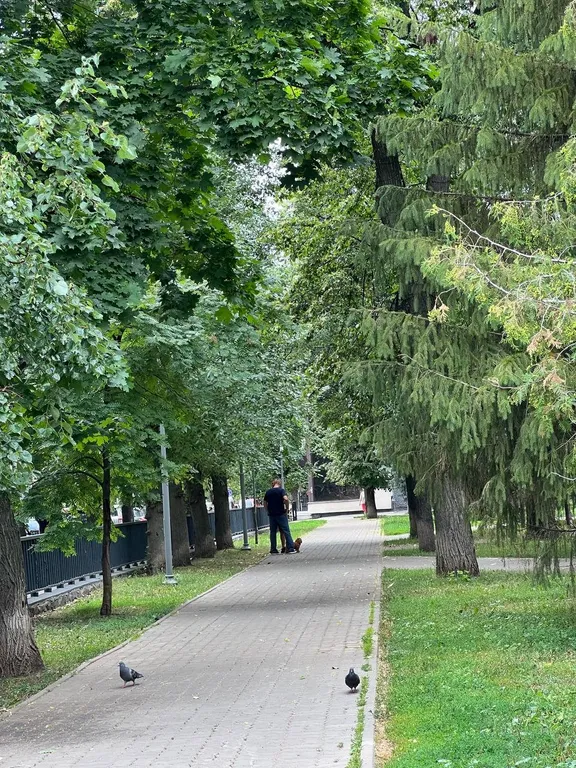 Апартаменты в самом центре Казани