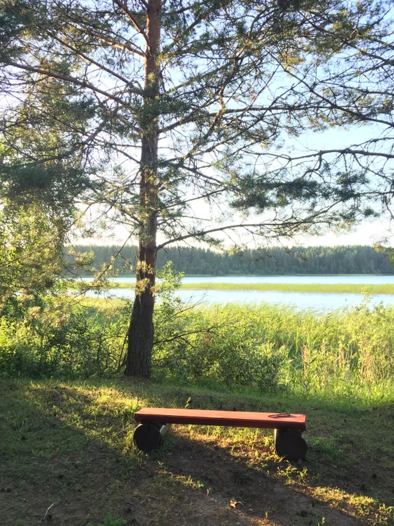 Шале с камином и 3 спальнями на берегу озера Селигер