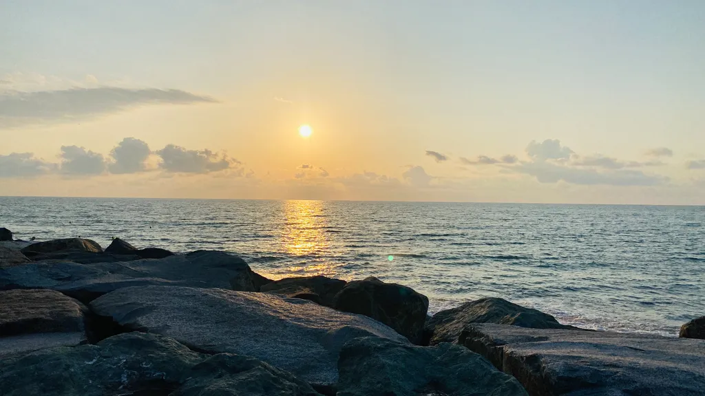 Апартаменты на берегу черного моря