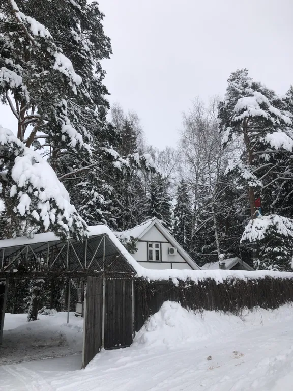 Домик в сосновом лесу